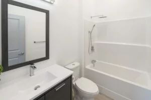 Portfolio 16 modern-bathroom-dark-accents-trade-grade-painting